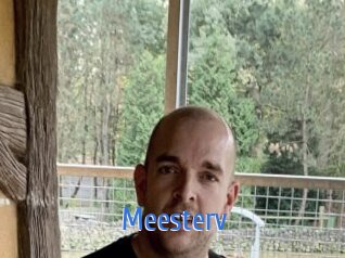 Meesterv