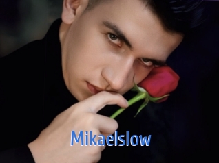 mikaelslow 12x Gay