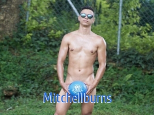 Mitchellburns