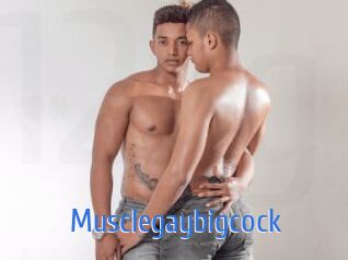 Musclegaybigcock
