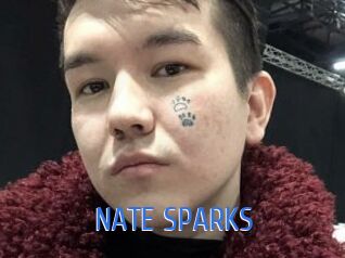 NATE_SPARKS