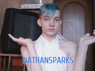 NATHAN_SPARKS