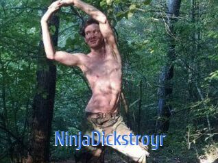 NinjaDickstroyr