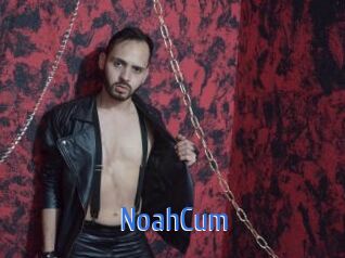 NoahCum