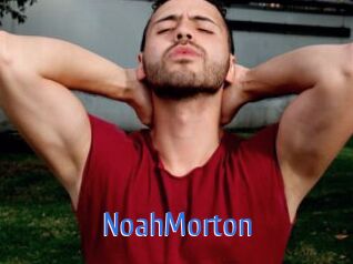 NoahMorton