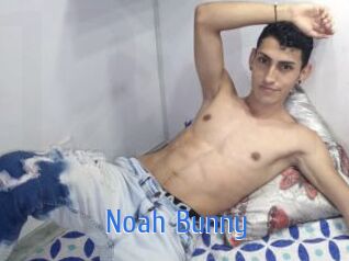 Noah_Bunny