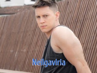 Neilgaviria