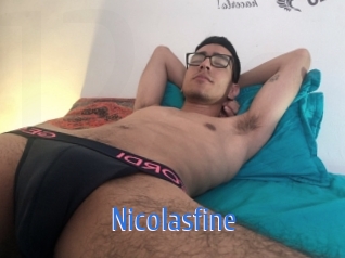 nicolasfine 12x Gay