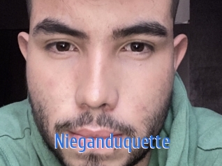 Nieganduquette