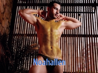 Noahallen