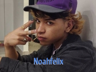 noahfelix 12x Gay