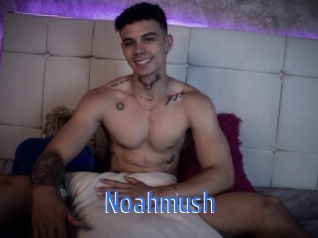 noahmush 12x Gay