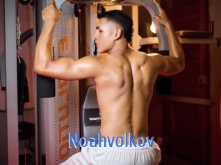 noahvolkov 12x Gay