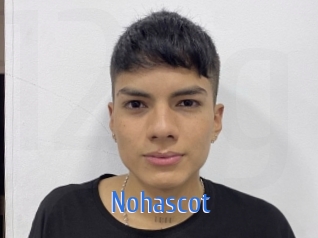 nohascot 12x Gay