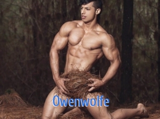 owenwolfe 12x Gay