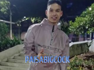 PAISABIGCOCK