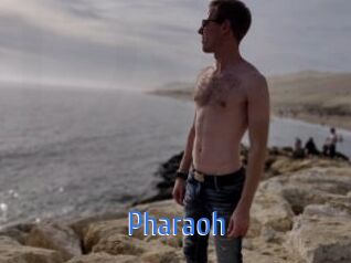 Pharaoh