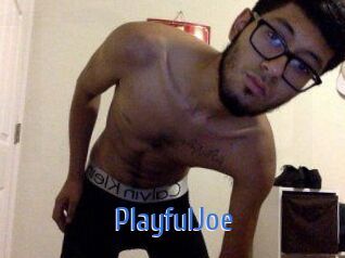 PlayfulJoe