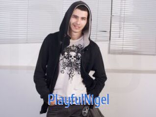 PlayfulNigel 12x Gay