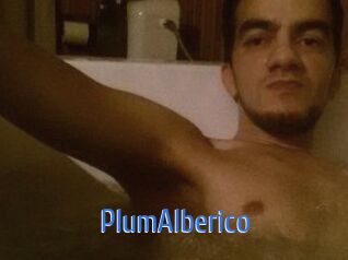 PlumAIberico 12x Gay