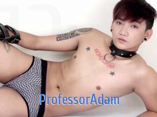ProfessorAdam