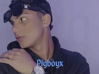 Pigboyx