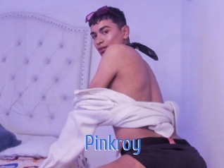 pinkroy 12x Gay