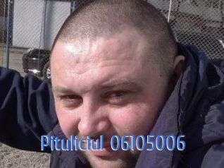 Pituliciul-06105006