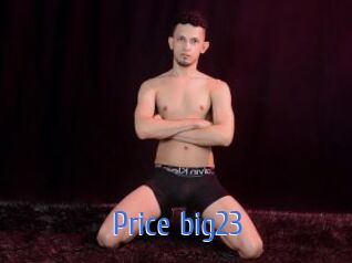 Price_big23