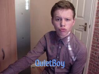 QuietBoy 12x Gay