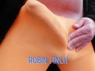 ROBIN_FINCH