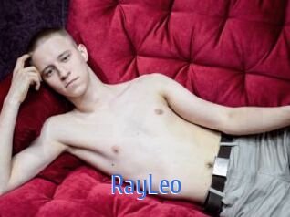 RayLeo 12x Gay