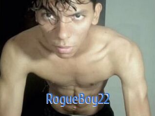RogueBoy22