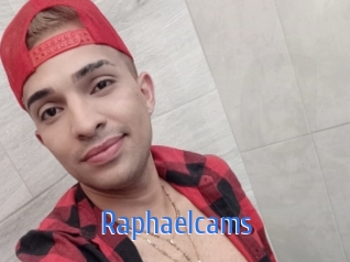 raphaelcams 12x Gay