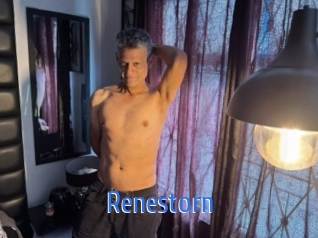 renestorn 12x Gay