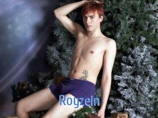 Royzein