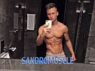 SANDRO_MUSCLE