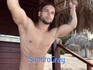 SandroGrey 12x Gay