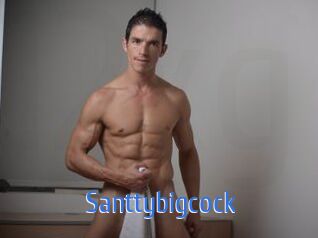 Santtybigcock 12x Gay