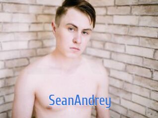 SeanAndrey
