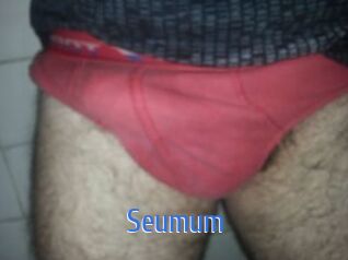 Seumum 12x Gay