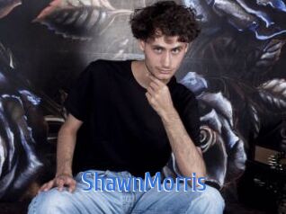 ShawnMorris 12x Gay