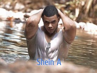 Shein_A 12x Gay