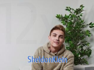 SheldonKlein