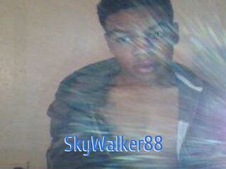 SkyWalker88