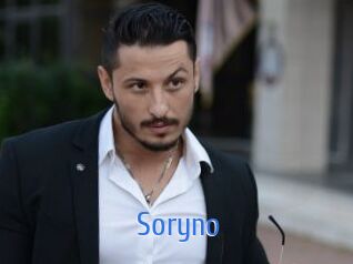Soryno 12x Gay