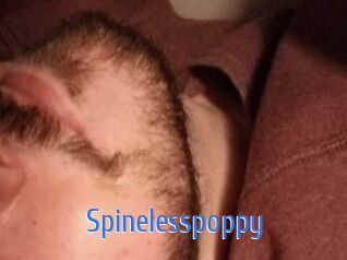 Spinelesspoppy