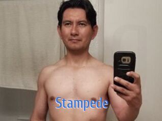 Stampede