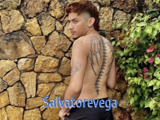 Salvatorevega