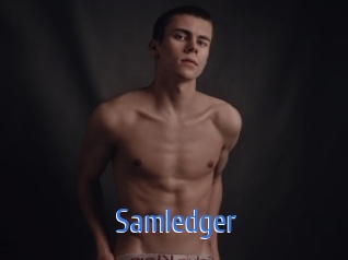 Samledger